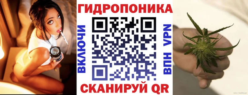 Бошки Шишки Медынь