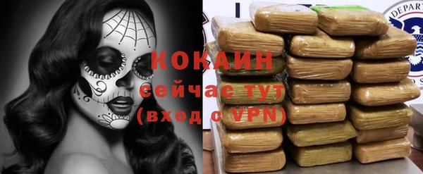 метадон Елизово