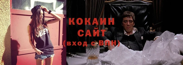 метадон Елизово