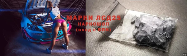 стафф Ельня