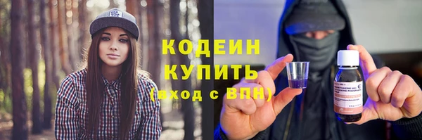 стафф Ельня