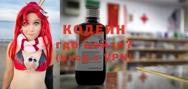 стафф Ельня