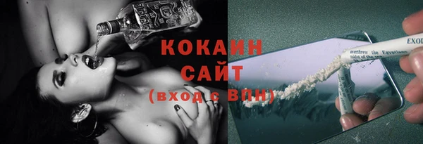 стафф Ельня