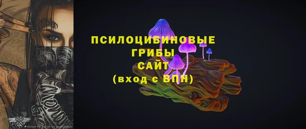 метадон Елизово