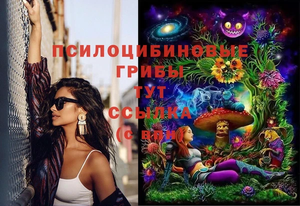 метадон Елизово