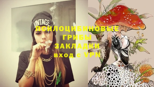mdma Заводоуковск