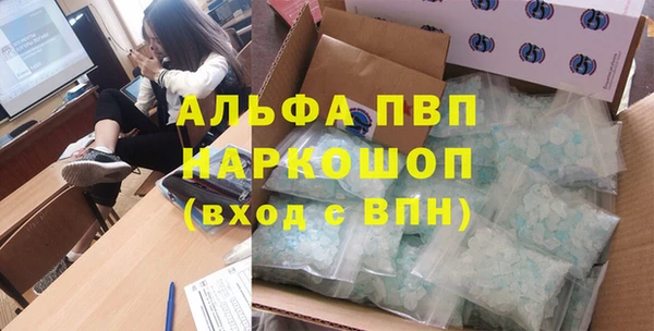 стафф Ельня