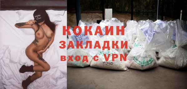 стафф Ельня