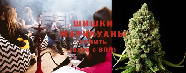 стафф Ельня