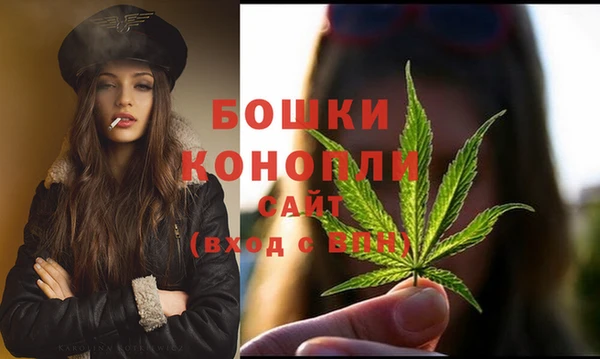 стафф Ельня