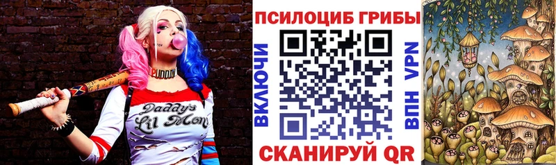 Псилоцибиновые грибы Psilocybe  Купить закладки  Медынь 